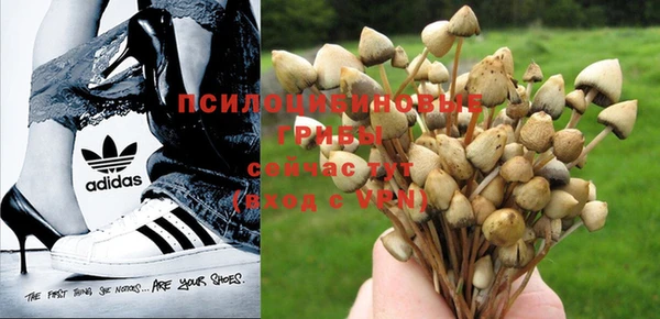 шишки Одинцово