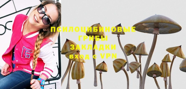 прущие крисы Покачи