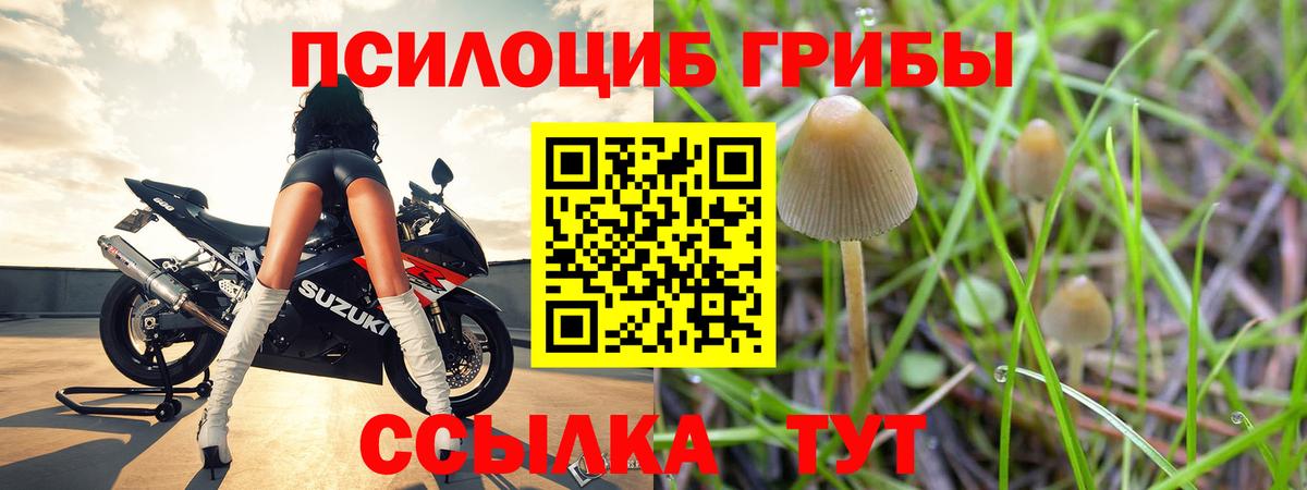 Абинск  Псилоцибиновые грибы ЛСД  Вход с VPN 