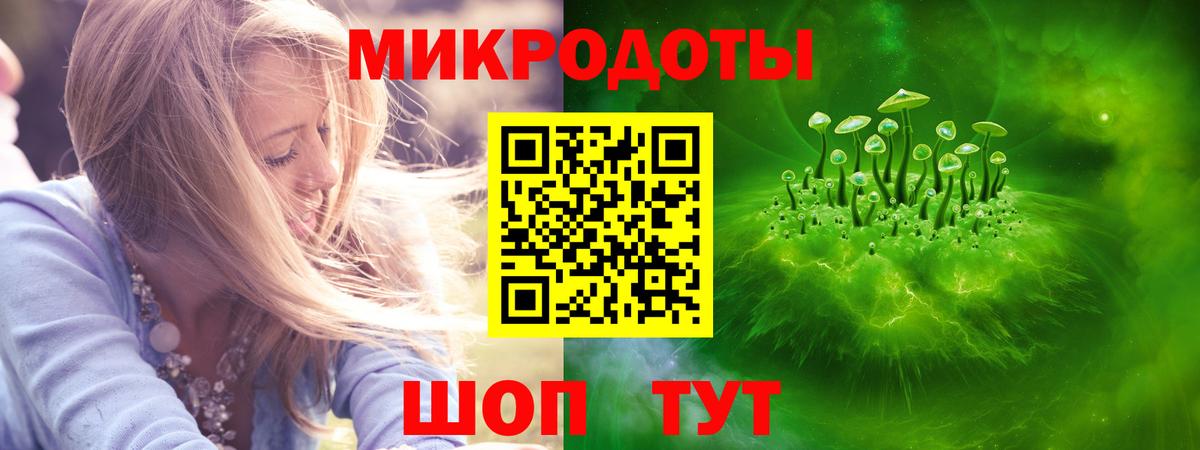 Псилоцибиновые грибы Psilocybine cubensis Абинск